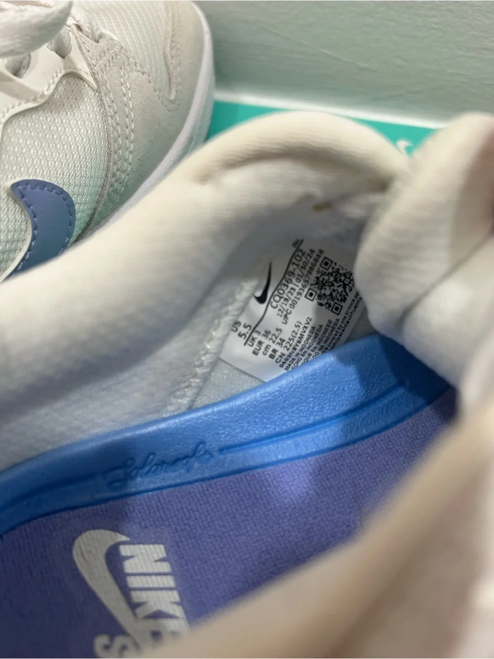 Women’s Nike SB Alleyoop